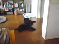 c0012120_22531395.jpg