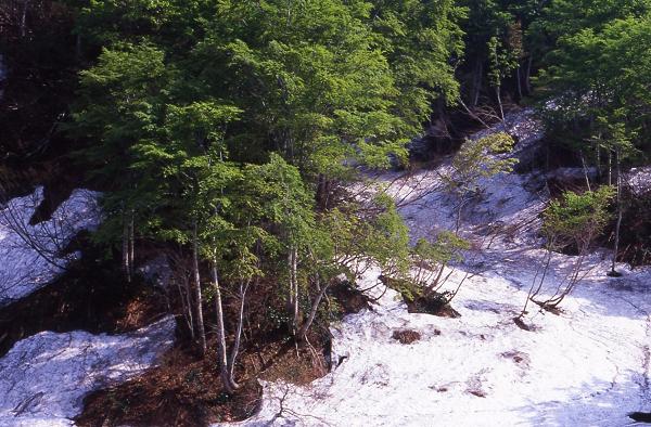 e0071020_951029.jpg