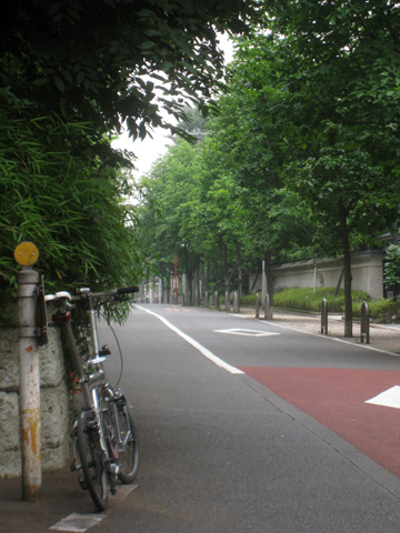 e0089826_2201322.jpg