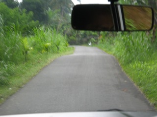 f0162528_1038415.jpg