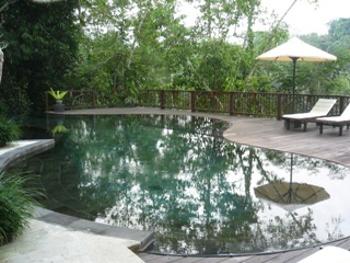 f0162528_10434043.jpg