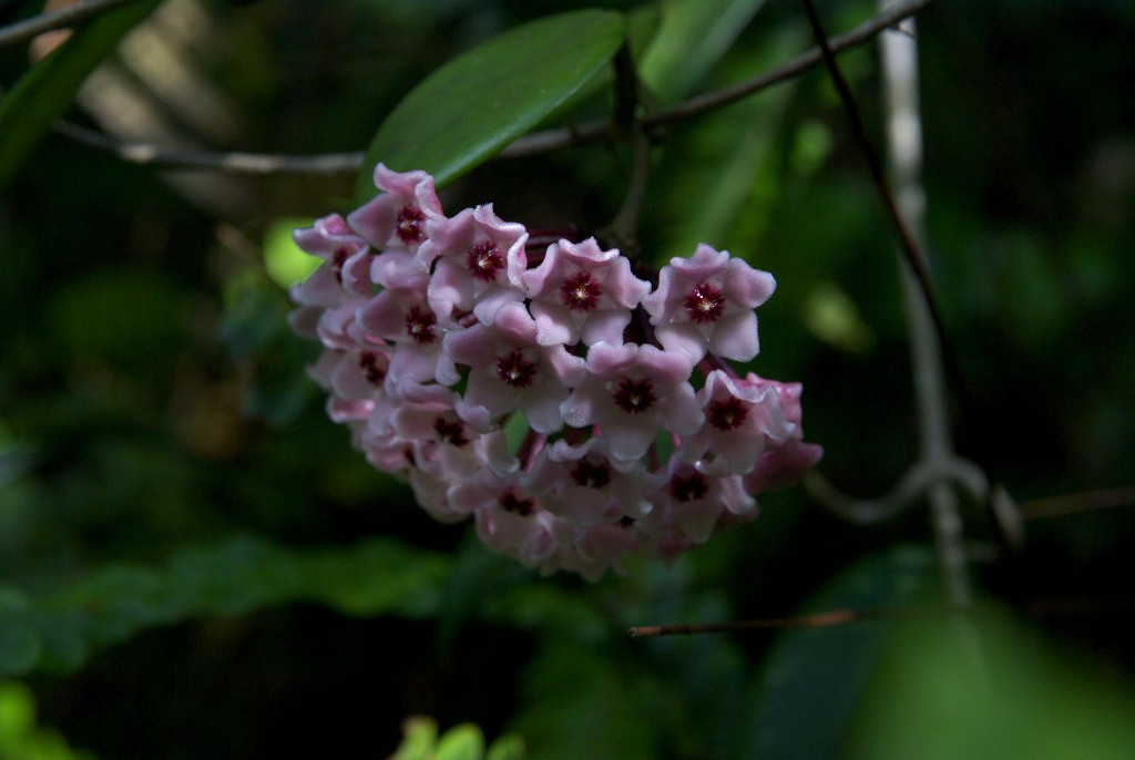 d0053930_6555328.jpg