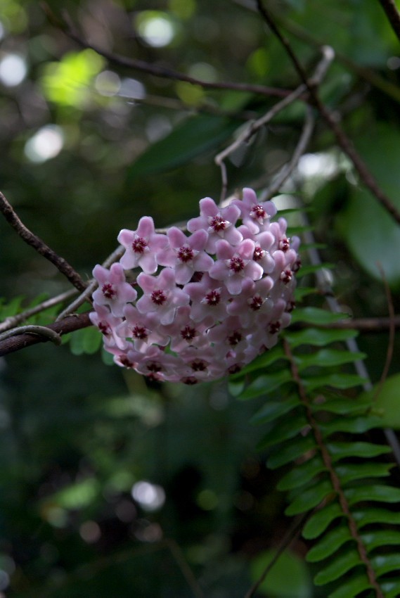d0053930_6564556.jpg