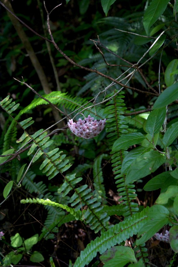 d0053930_6581235.jpg