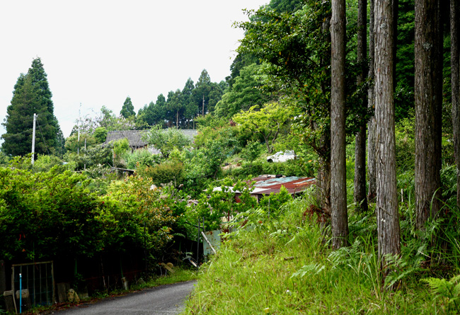 d0147530_6493569.jpg