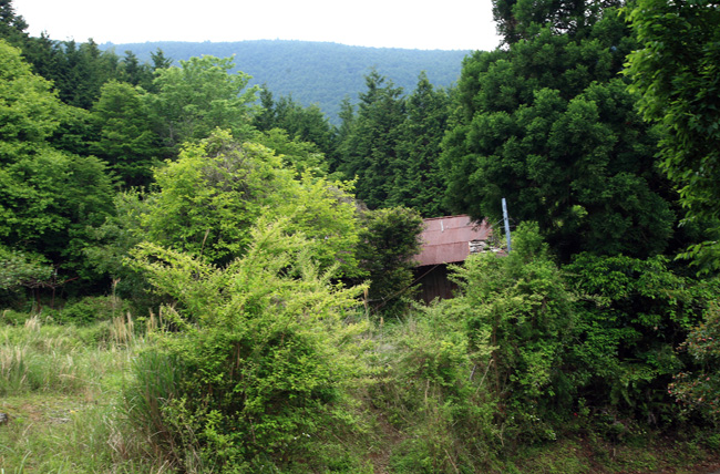 d0147530_6591886.jpg