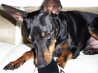 c0123149_12255011.jpg