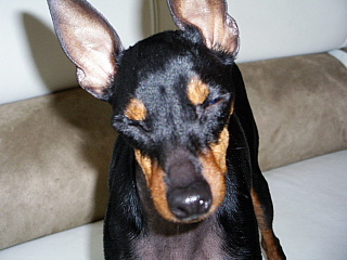 c0123149_12285565.jpg