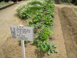 c0145449_21464393.jpg