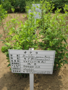 c0145449_2146665.jpg