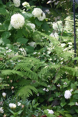 b0120159_13343394.jpg