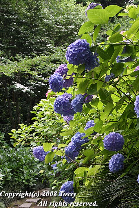 f0002163_22435312.jpg