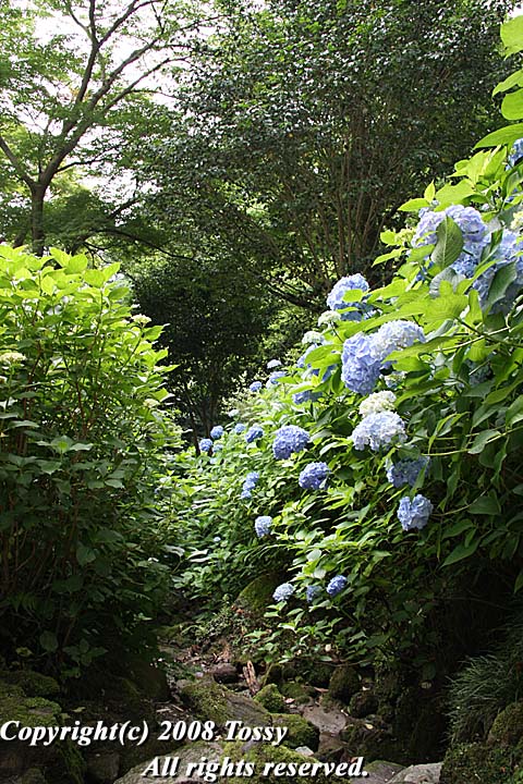 f0002163_2243610.jpg