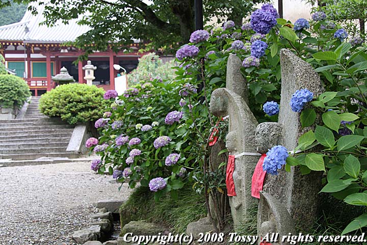 f0002163_2245248.jpg