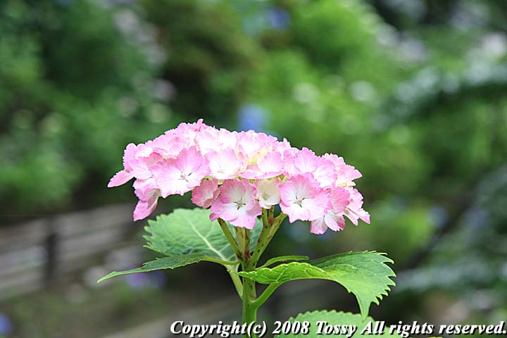 f0002163_22461258.jpg