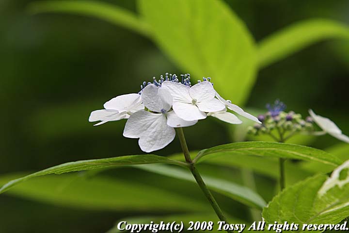 f0002163_22471965.jpg