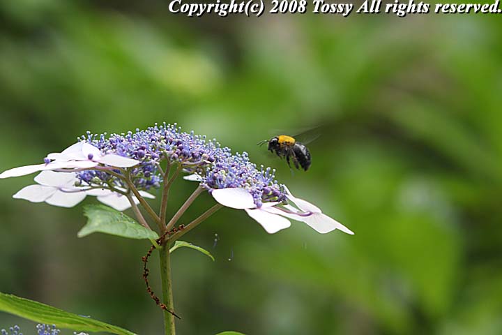 f0002163_2248693.jpg