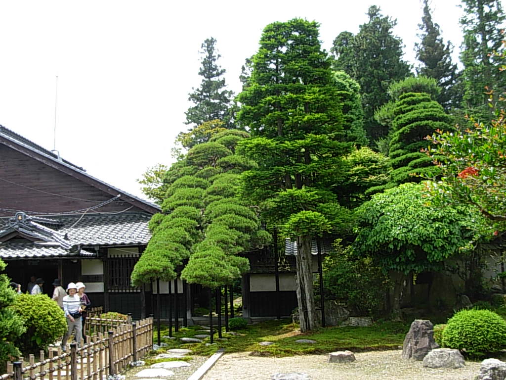 d0048366_7161517.jpg