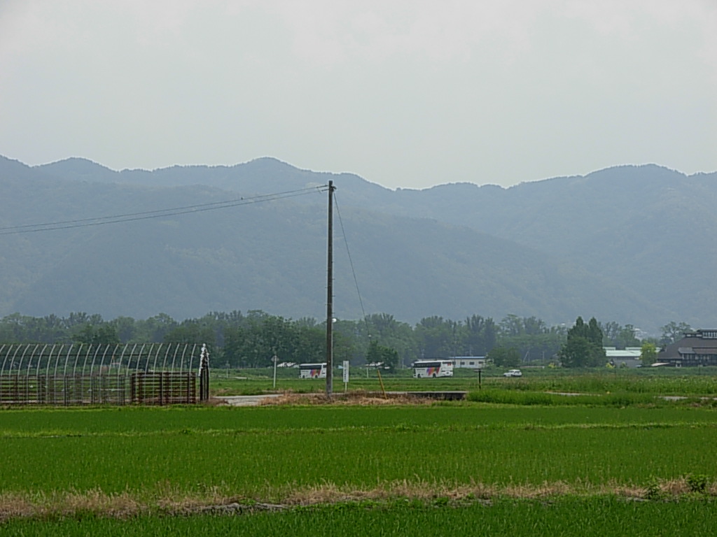 d0048366_7332483.jpg