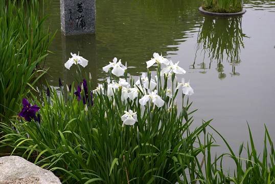 f0159267_21161858.jpg