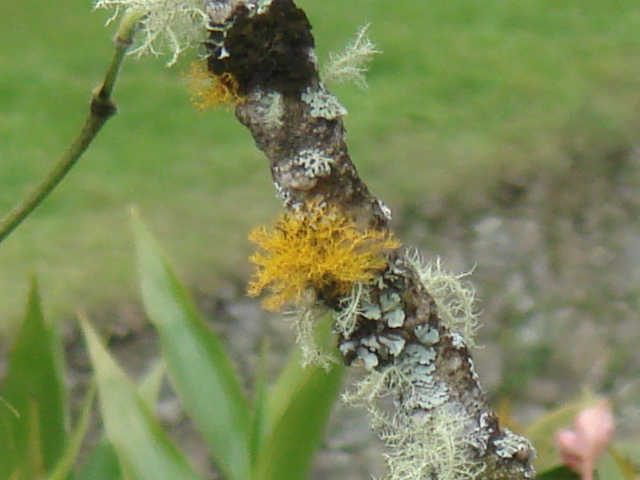 f0160069_173389.jpg