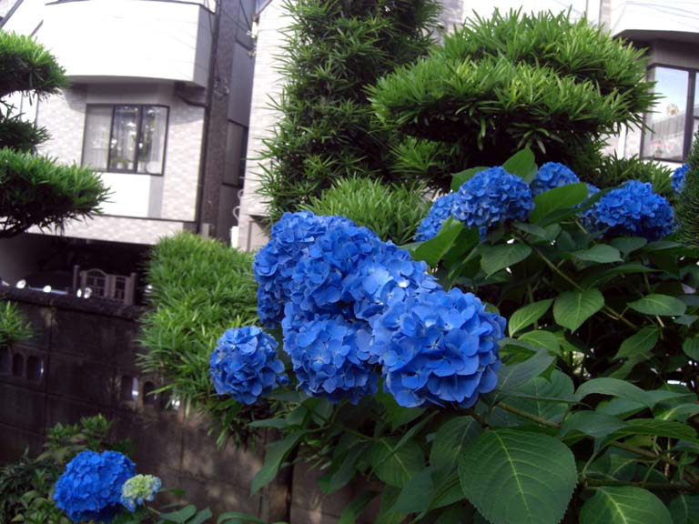 b0060071_0513757.jpg