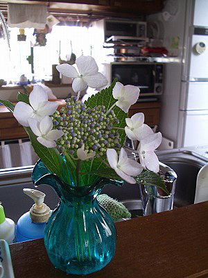 c0045882_20201570.jpg