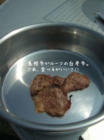 b0000885_12381159.jpg
