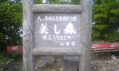 d0031086_1315474.jpg