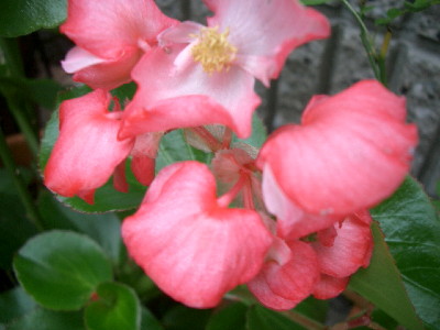 c0132387_2144528.jpg