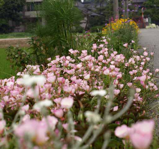 d0088788_2211251.jpg