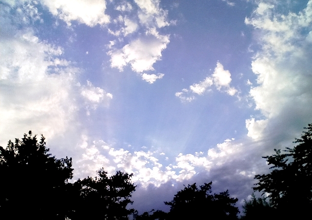 c0118496_21124068.jpg