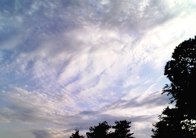 c0118496_2113728.jpg