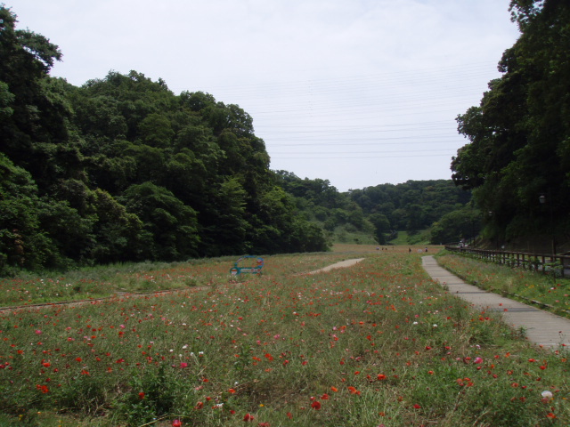 c0008598_17584018.jpg