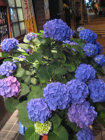b0097200_12584350.jpg