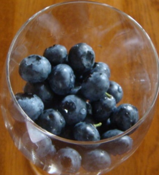 c0041207_11444555.jpg