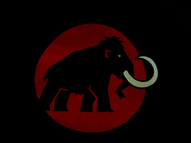 e0015108_22582635.jpg