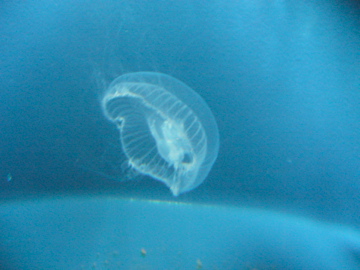 d0116913_11151263.jpg