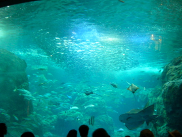 d0116913_116347.jpg