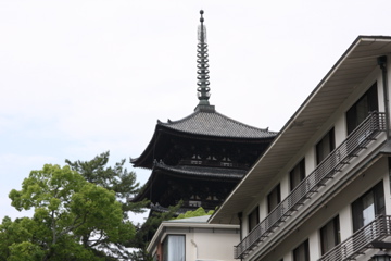 d0111714_12592852.jpg
