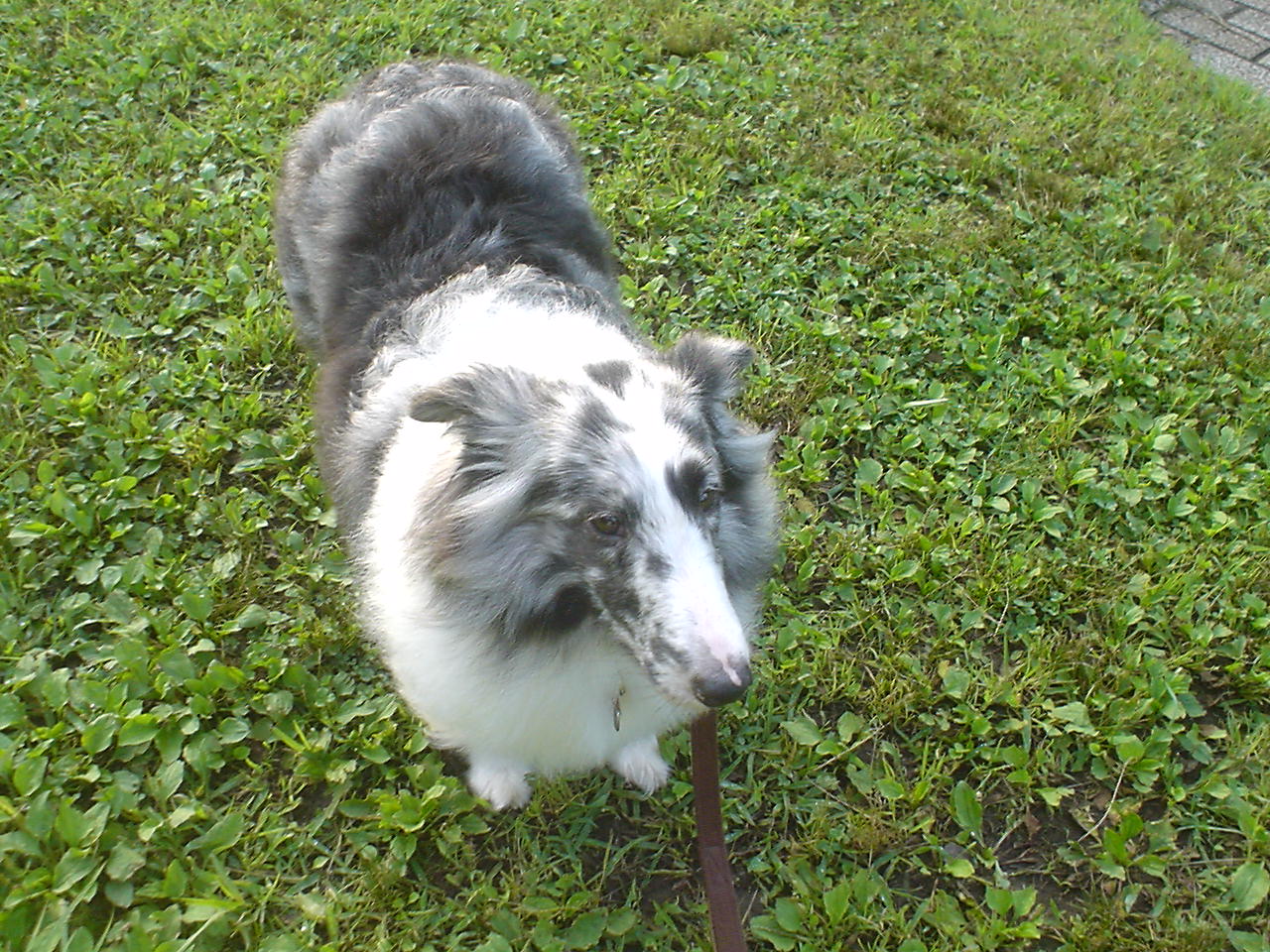 c0150520_1234950.jpg