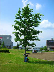 f0130024_223477.jpg