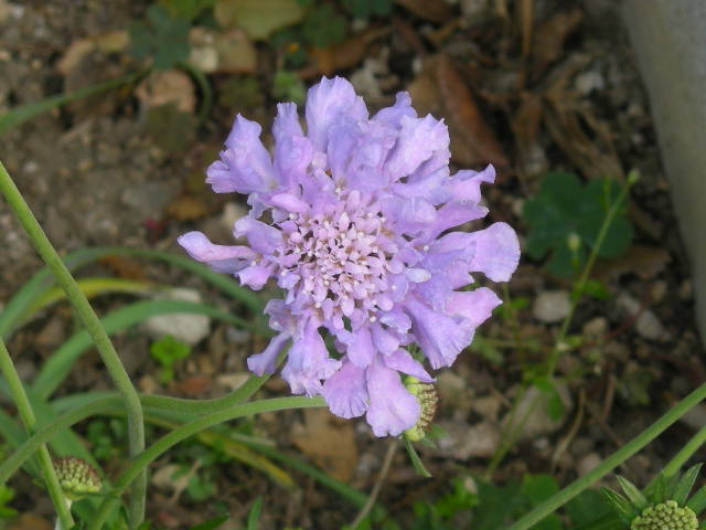 d0127926_201154.jpg