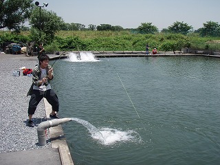 d0137029_1614557.jpg