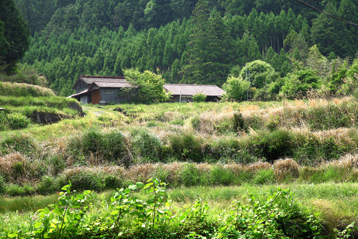 d0147530_685951.jpg