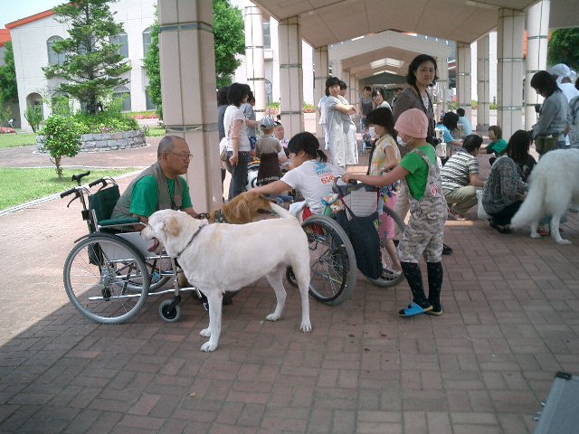 c0114833_23402592.jpg