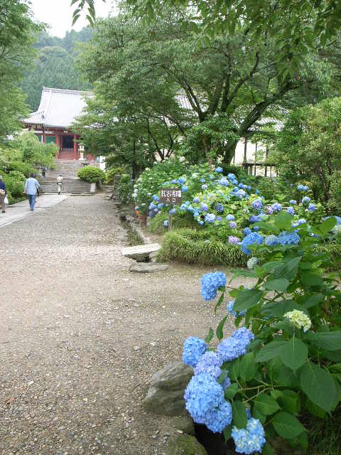 d0105133_21333530.jpg