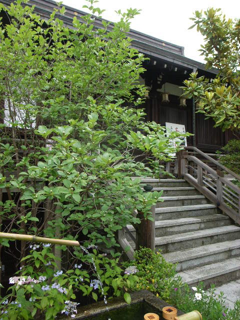d0105133_21365965.jpg
