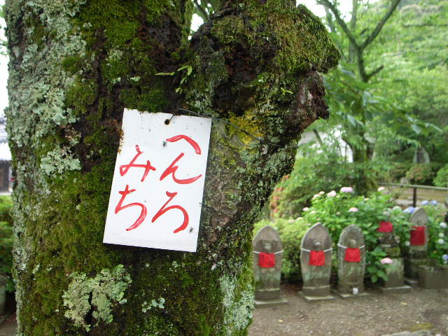 d0105133_21471789.jpg