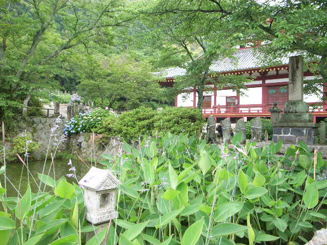 d0105133_21483328.jpg